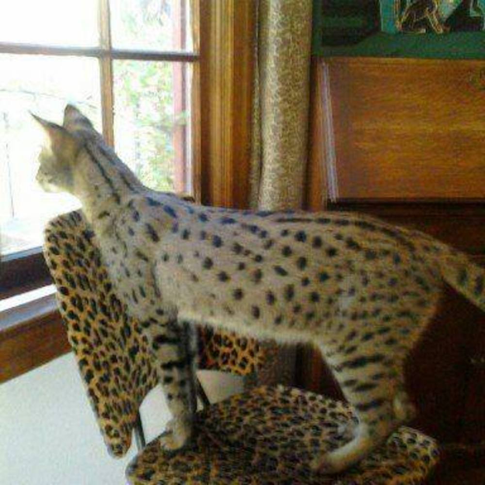 Meet your Posher, Ruth